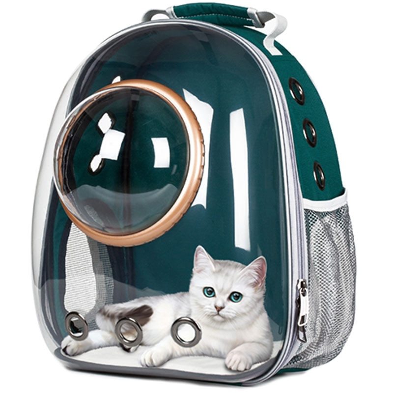 Transparent Pet Space Bag