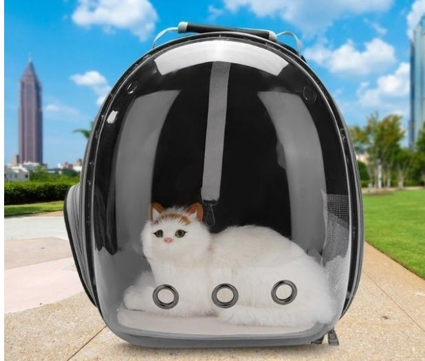 Transparent Pet Space Bag