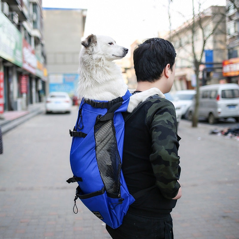 Travel Backpack Outdoor Dog