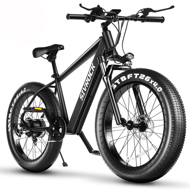 Electric Bike